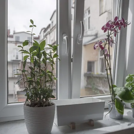 Small One-bedroom Achilles In Dietla 57 * Krakkó